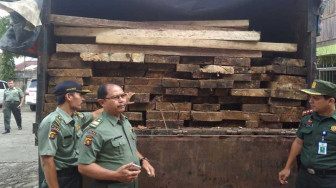 Dishut Buru Pemilik 20 Kubik Kayu Ilegal