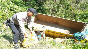 Truk Sarat Bermuatan Kentang Masuk Jurang
