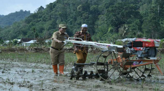 H Al Haris Ajak Masyarakat Ramai-ramai Turun ke Sawah