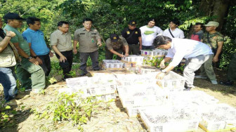 Ribuan Burung Dilindungi Dilepas Oleh BKSDA Jambi