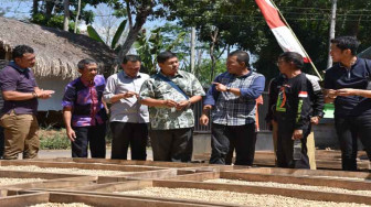 PetroChina Dukung Pemkab Tanjab Timur Kembangkan Kopi Liberika.