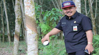 Ada Tipe-Ex dalam Surat Penon-aktifan Harmen Rusdi