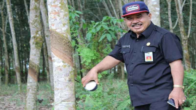 Ada Tipe-Ex dalam Surat Penon-aktifan Harmen Rusdi