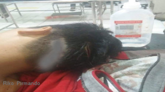 Bentrok di Kerinci, Rumah dan Puluhan Kendaraan Dibakar Massa