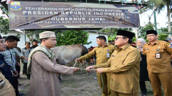 Fachrori Serahkan Sapi Kurban Bantuan Presiden dan Pribadi