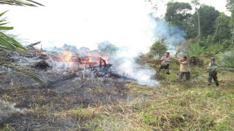 Diduga Karena Puntung Rokok, Tiga Hektar Kebun Sawit Terbakar