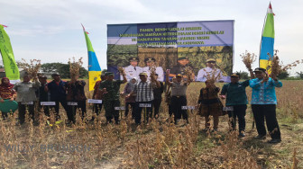 Tanjab Timur Siap Pasok Benih Kedelai Provinsi Jambi