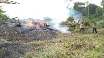 Diduga Akibat Puntung Rokok, Kebun Sawit Terbakar