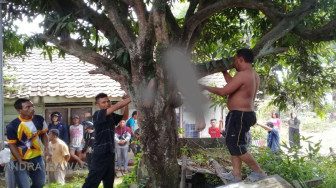 Truk Pengangkut BBM Ilegal Meledak, Korban Tewas Tersangkut Dipohon Kayu