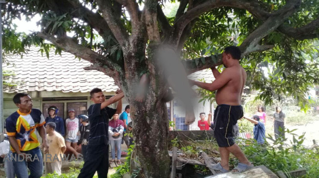 Truk Pengangkut BBM Ilegal Meledak, Korban Tewas Tersangkut Dipohon Kayu