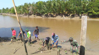 Satgas TMMD 103 dan Warga Tanam Pohon Mangrove