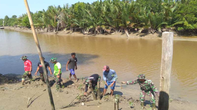 Satgas TMMD 103 dan Warga Tanam Pohon Mangrove