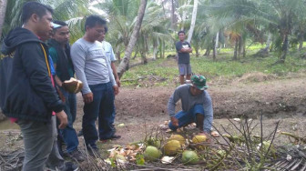 Minum Air Kelapa Muda Bersama Satgas TMMD