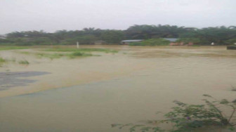 Karena Banjir, Ratusan Ikan di Kolam Warga Hanyut