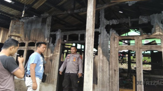 Ditinggal Pergi ke Kebun Rumah Terbakar