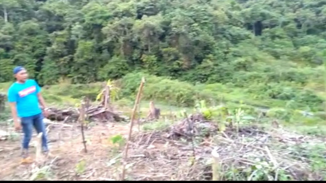 Miris, Ribuan Hektar Hutan Produksi Diperjualbelikan ke Warga Eksodus 