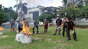 Kejaksaan Negeri Merangin Bakar Dua Kulit Harimau Sumatera
