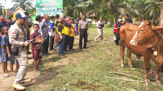 Jambi Sukses Laksanakan UPSUS SIWAB 2018