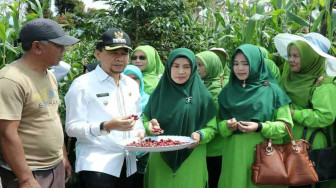 Bupati dan Ketua PKK Kerinci Lakukan Pembinaan di Desa Mekar Sari