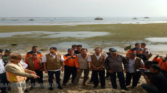 Hutan Pantai Dapat Kurangi Risiko Bahaya Tsunami