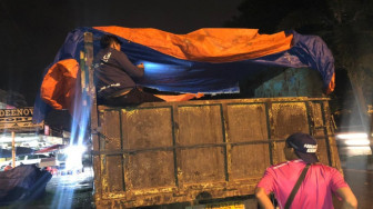 Puluhan Kubik Kayu Ilegal Diamankan