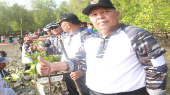 Garap Eko Wisata Mangrove, Tanjab Barat Siapkan Dana Miliran