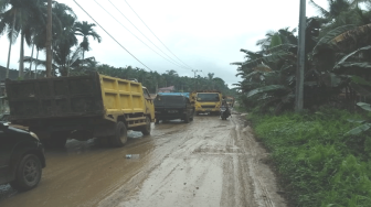 Truk Ramai Lalu-Lalang, Bukti Tanjab Timur Mulai Maju
