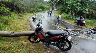 Hujan Disertai Angin Kencang, Dua Tiang Listrik Roboh, Jalan Nasional Sempat Lumpuh