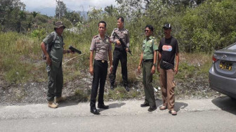 Breaking News...Seekor Beruang Hendak Masuk Perkantoran Bupati Kerinci