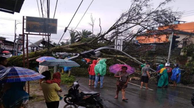 Hujan Deras dan Angin Kencang, Pohon Tumbang Tutup Akses Jalan Nasional