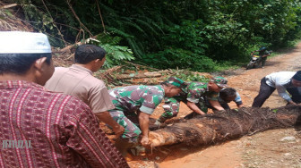 Hujan Deras Jalan ke Tabir Barat Tertutup Longsor