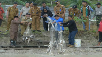 Bupati dan Wabup Merangin Panen Raya Ikan