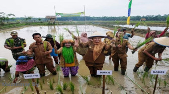 Bersama Masyarakat Kedotan, Bupati Masnah Turun Kesawah