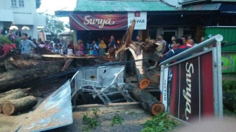 Gerobak Hancur Tertimpa Pohon Tumbang
