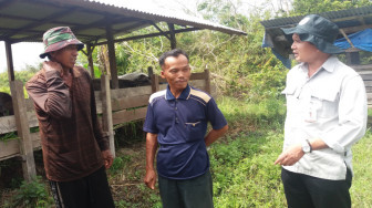 BRG Bantu Pokmas  Tujuh Ekor Kerbau di Desa Sungai Bungur