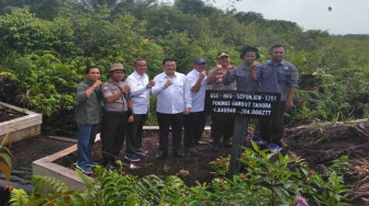 BRG Luncurkan Berbagai Program, Kebakaran Hutan Menurun Setiap Tahun