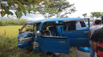 Akibat Sopir Ngantuk, Minibus Rinsek Tabrak Pohon
