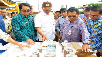Kementan Lepas Ekspor Ratusan Ribu Ton Biji Pinang asal Jambi
