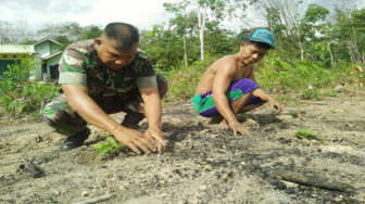 Serda Alfian Motivasi Warga Bertani Cabai dan Tomat