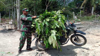 Satgas TMMD Bantu Warga Beri Makan Kambing