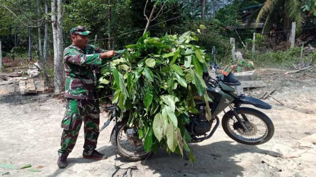 Satgas TMMD Bantu Warga Beri Makan Kambing