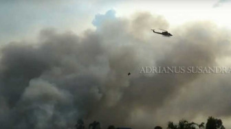 Kebakaran Lahan di Provinsi Jambi Capai 110 Hektar