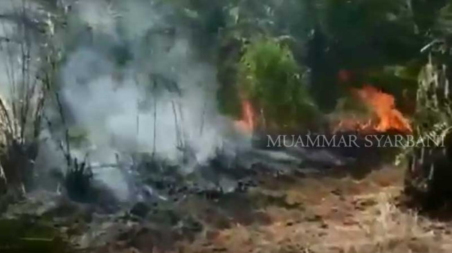 Puluhan Hektar Lahan di Muarojambi Terbakar