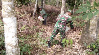 Serda Supari Bantu Suwono Pupuk Tanaman Karet
