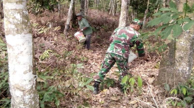 Serda Supari Bantu Suwono Pupuk Tanaman Karet