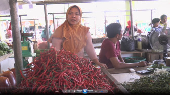 Harga Cabai dan Bawang Makin "Perih"