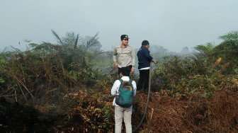Provinsi Jambi Miliki 617 Hektar Lahan Gambut