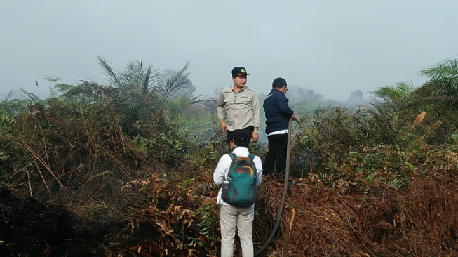 Provinsi Jambi Miliki 617 Hektar Lahan Gambut