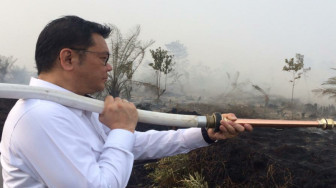 Kebakaran Lahan di Muarojambi Meluas