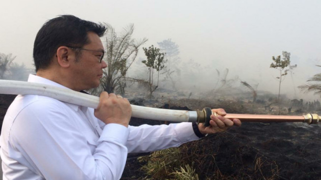 Kebakaran Lahan di Muarojambi Meluas